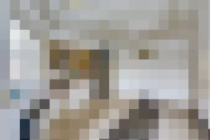 Agter de hoven 3 Wanssum thumbnail 30