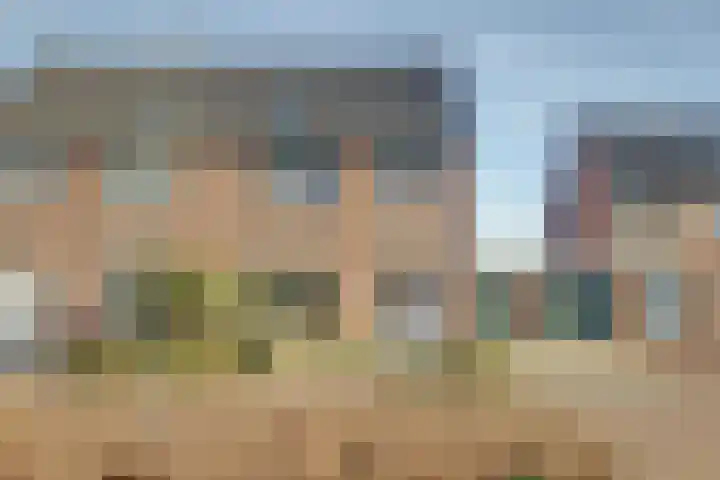 Agter de hoven 3 Wanssum thumbnail 40