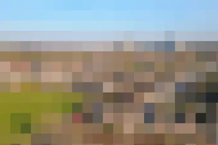 Agter de hoven 3 Wanssum thumbnail 43