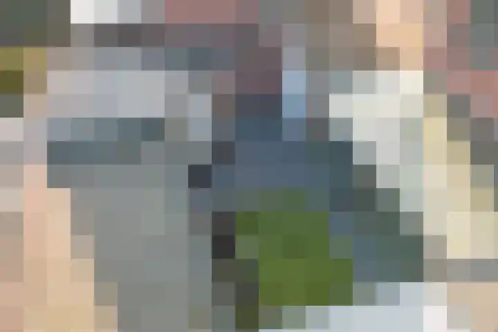 Agter de hoven 3 Wanssum thumbnail 45