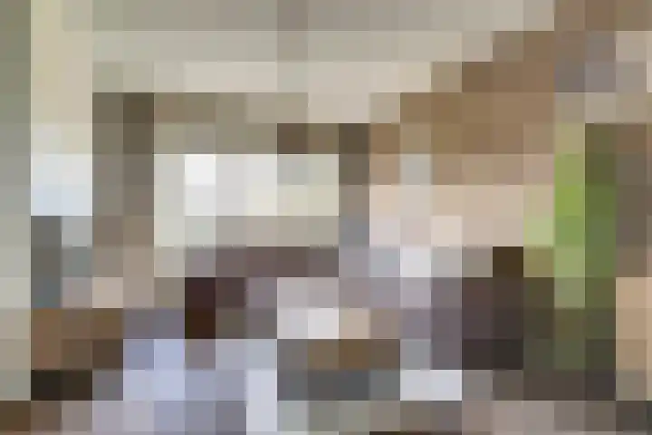 Agter de hoven 3 Wanssum thumbnail 8