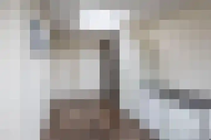 Agter de hoven 9 Wanssum thumbnail 18