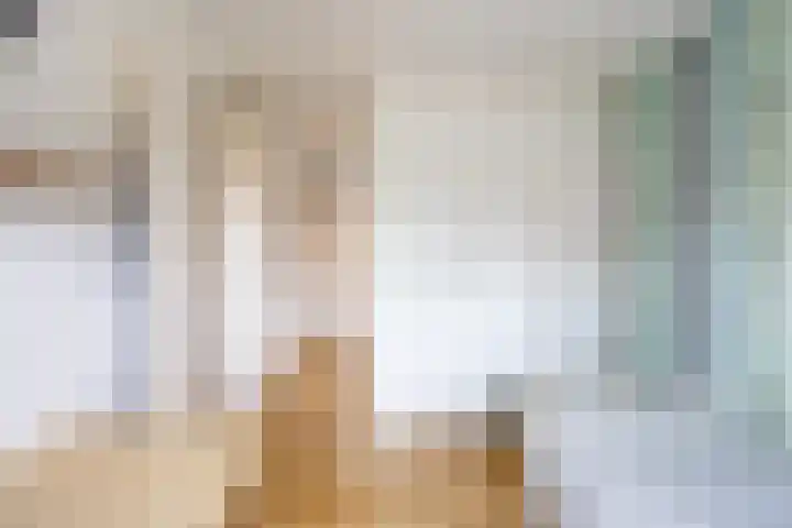 Agter de hoven 9 Wanssum thumbnail 26