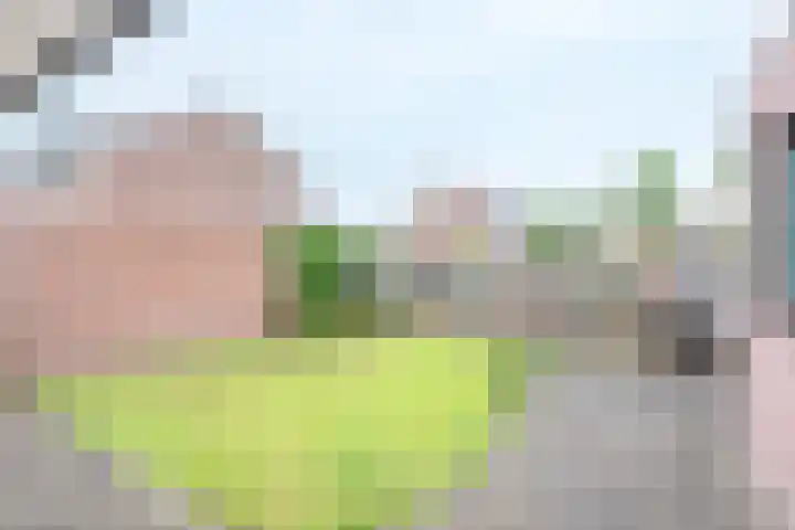 Agter de hoven 9 Wanssum thumbnail 33