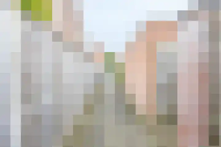 Agter de hoven 9 Wanssum thumbnail 36