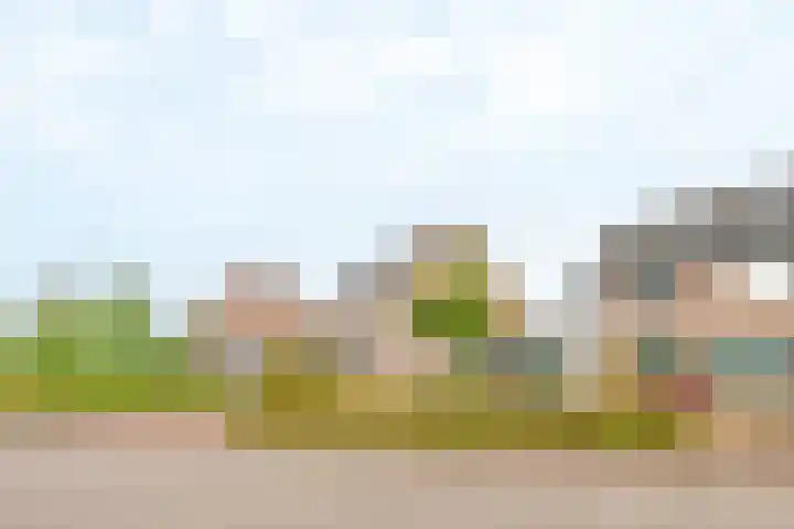Agter de hoven 9 Wanssum thumbnail 38