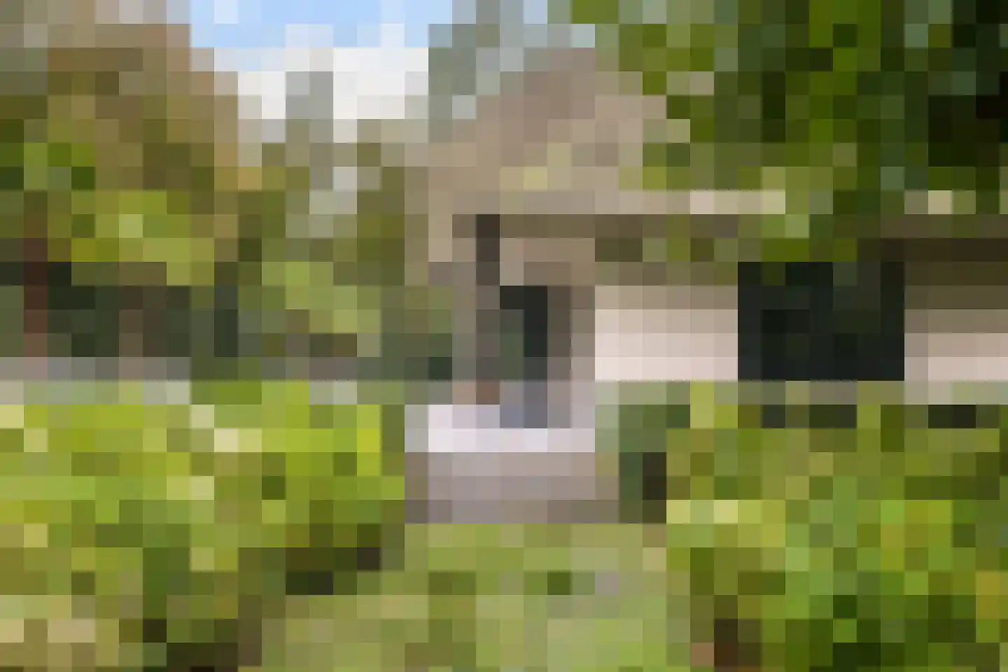 Agter Kampen 2 Blaricum thumbnail 42