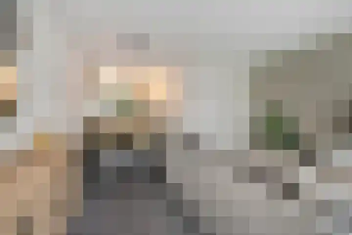 Agterhuys 3 Heeswijk-Dinther thumbnail 12