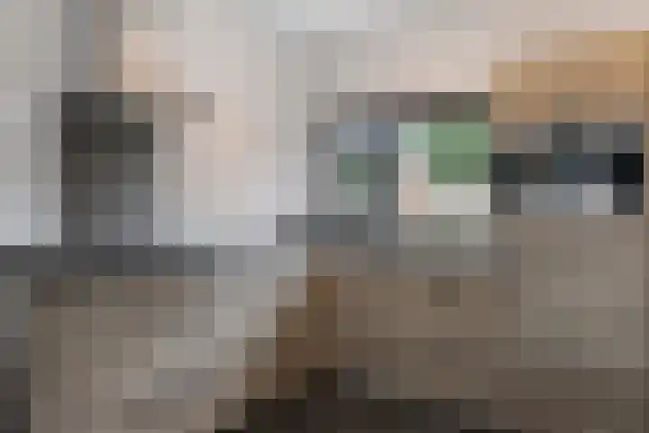 Agterhuys 3 Heeswijk-Dinther thumbnail 14