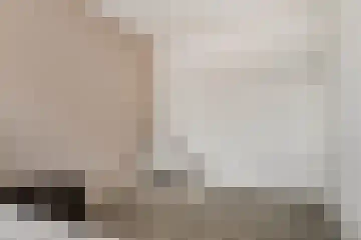 Agterhuys 3 Heeswijk-Dinther thumbnail 17