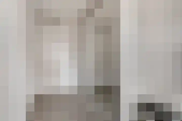Agterhuys 3 Heeswijk-Dinther thumbnail 21
