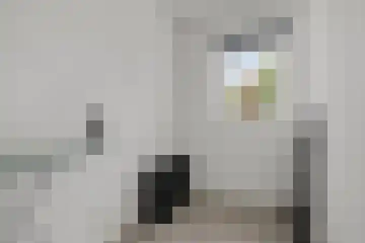 Agterhuys 3 Heeswijk-Dinther thumbnail 22