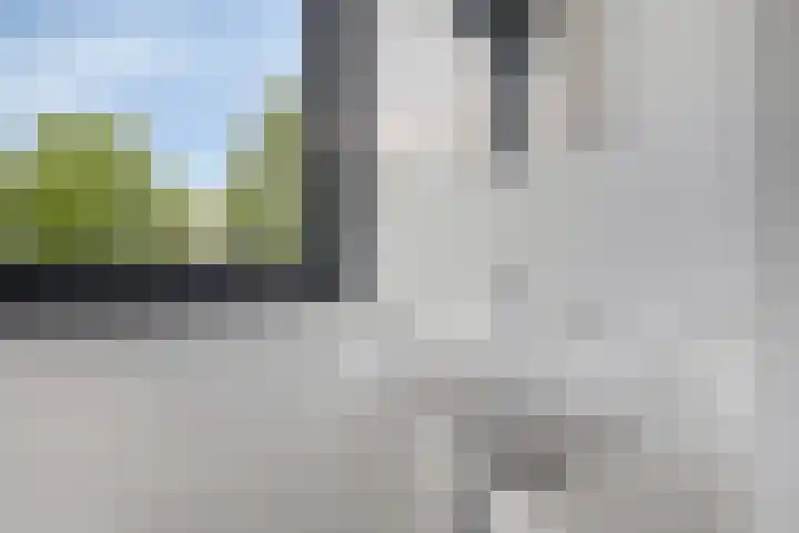 Agterhuys 3 Heeswijk-Dinther thumbnail 25