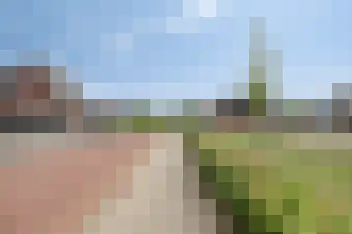Agterhuys 3 Heeswijk-Dinther thumbnail 36
