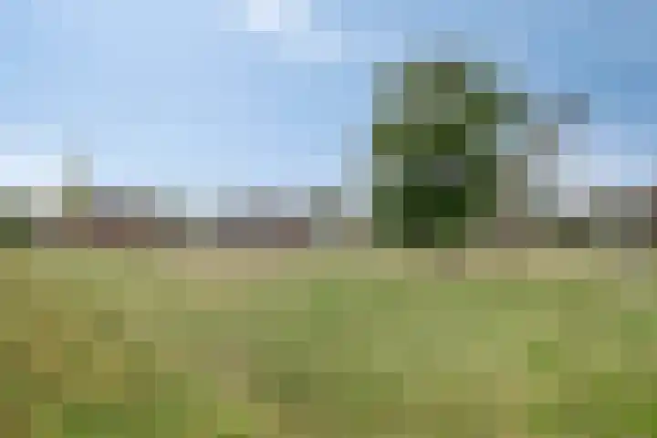 Agterhuys 3 Heeswijk-Dinther thumbnail 37