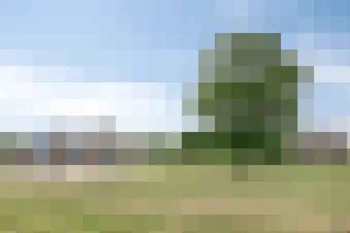 Agterhuys 3 Heeswijk-Dinther thumbnail 38