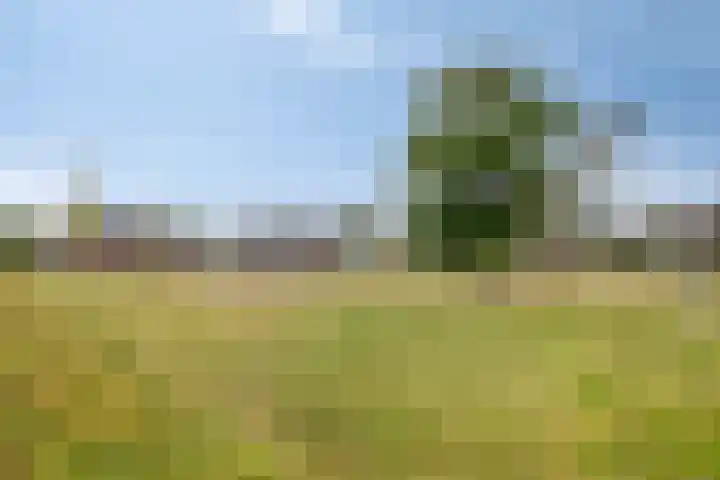 Agterhuys 3 Heeswijk-Dinther thumbnail 39