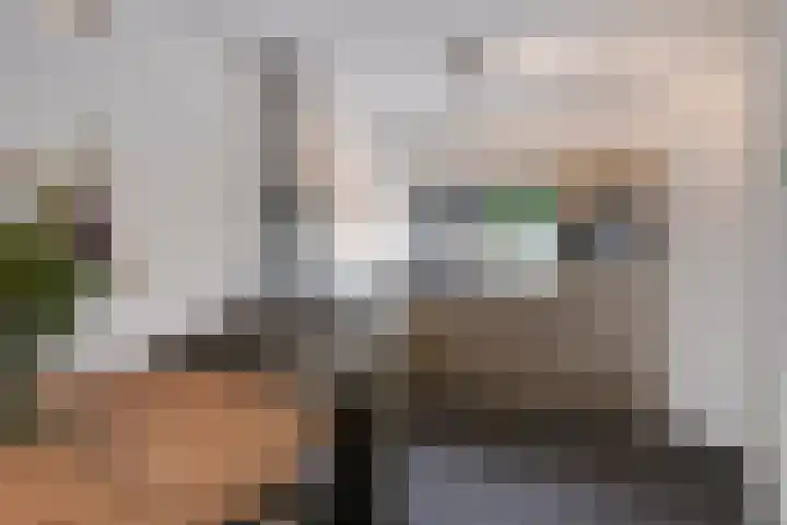 Agterhuys 3 Heeswijk-Dinther thumbnail 4