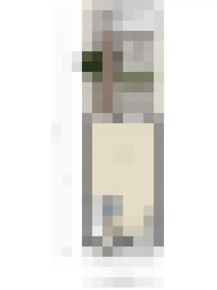 Agterhuys 3 Heeswijk-Dinther thumbnail 40
