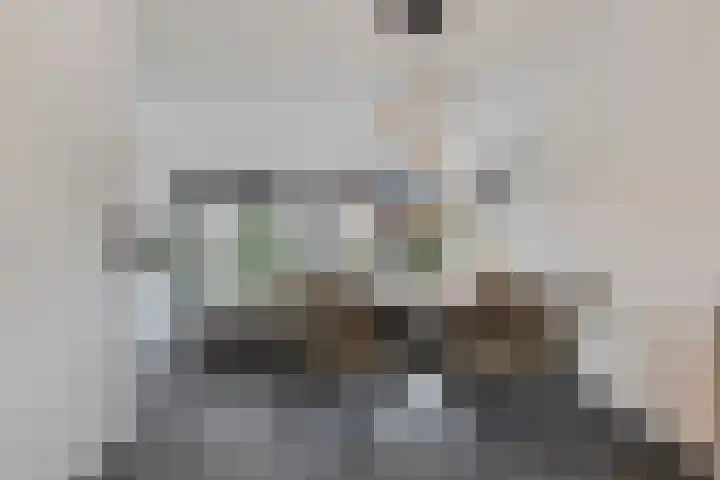 Agterhuys 3 Heeswijk-Dinther thumbnail 7