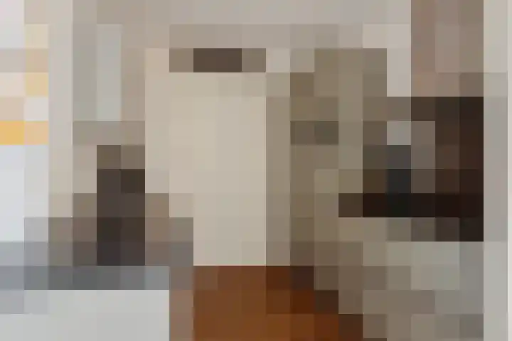 Agthoven 11 Nieuwerkerk thumbnail 24