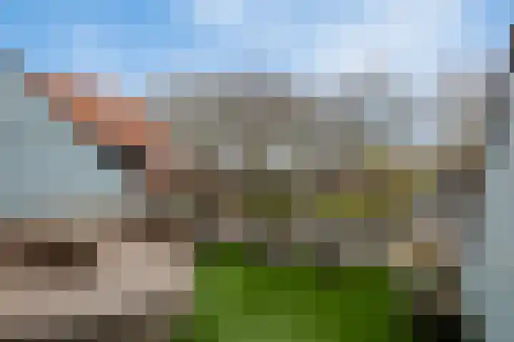 Agthoven 11 Nieuwerkerk thumbnail 33