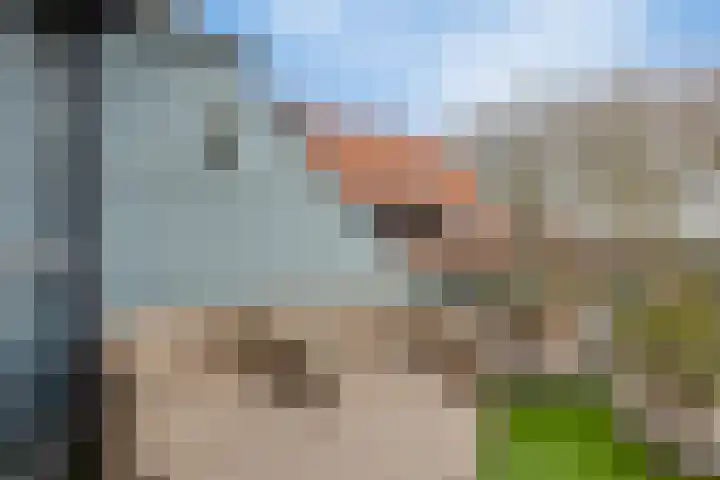 Agthoven 11 Nieuwerkerk thumbnail 34