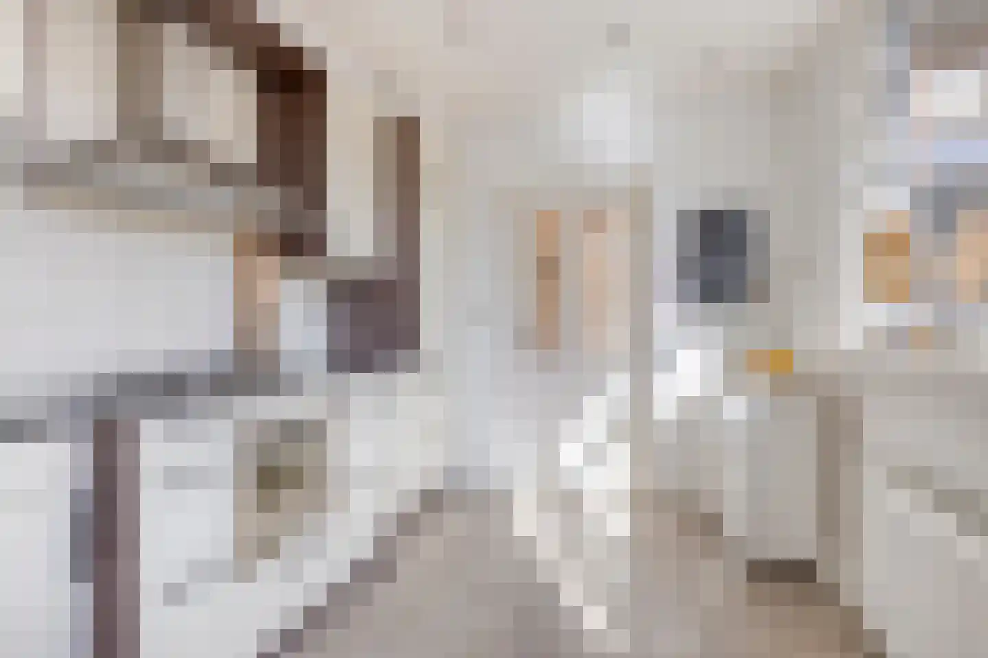 Ahavestraat 18 Aalten thumbnail 12
