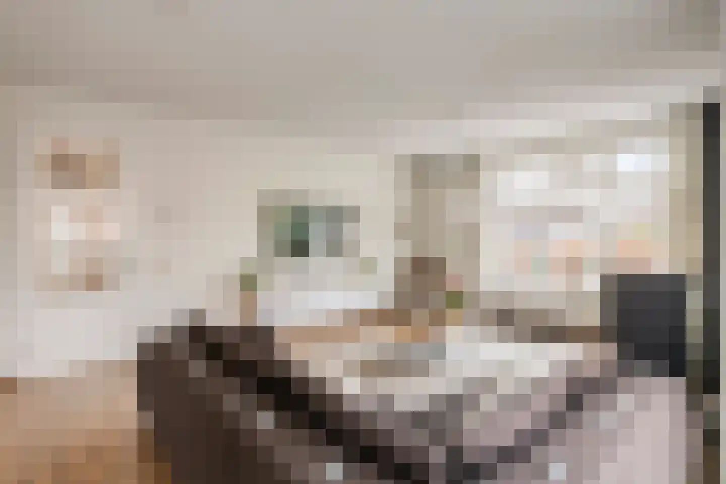 Ahnemstraat 15 Zwolle thumbnail 10