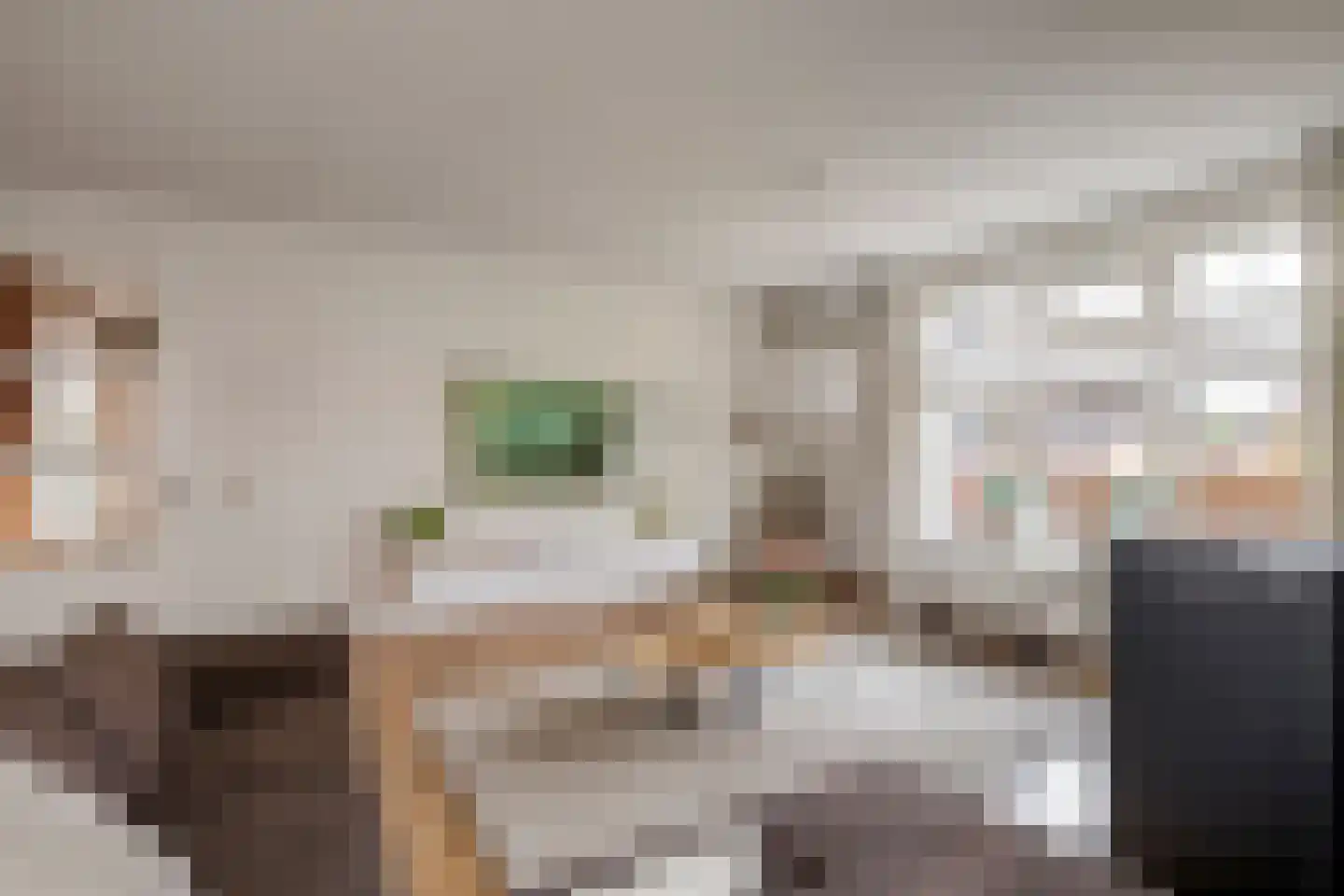 Ahnemstraat 15 Zwolle thumbnail 11
