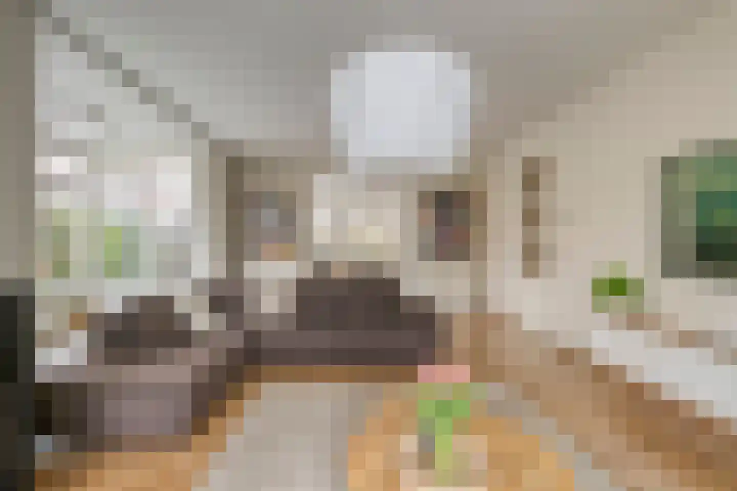 Ahnemstraat 15 Zwolle thumbnail 12
