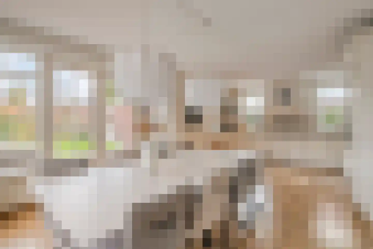 Ahnemstraat 15 Zwolle thumbnail 16