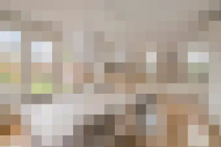 Ahnemstraat 15 Zwolle thumbnail 16