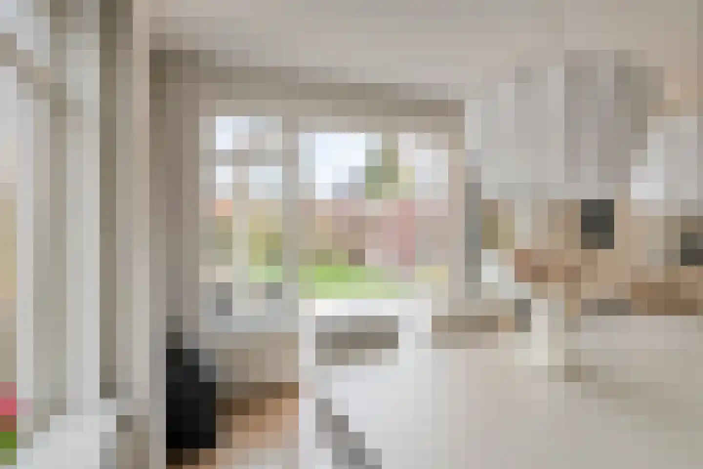 Ahnemstraat 15 Zwolle thumbnail 17
