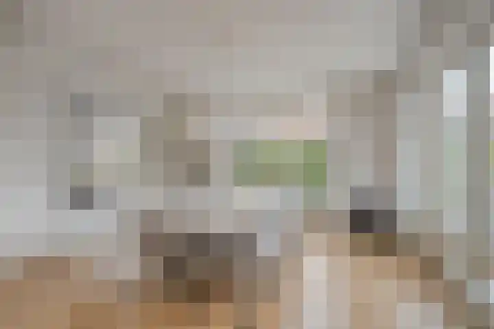 Ahnemstraat 15 Zwolle thumbnail 18
