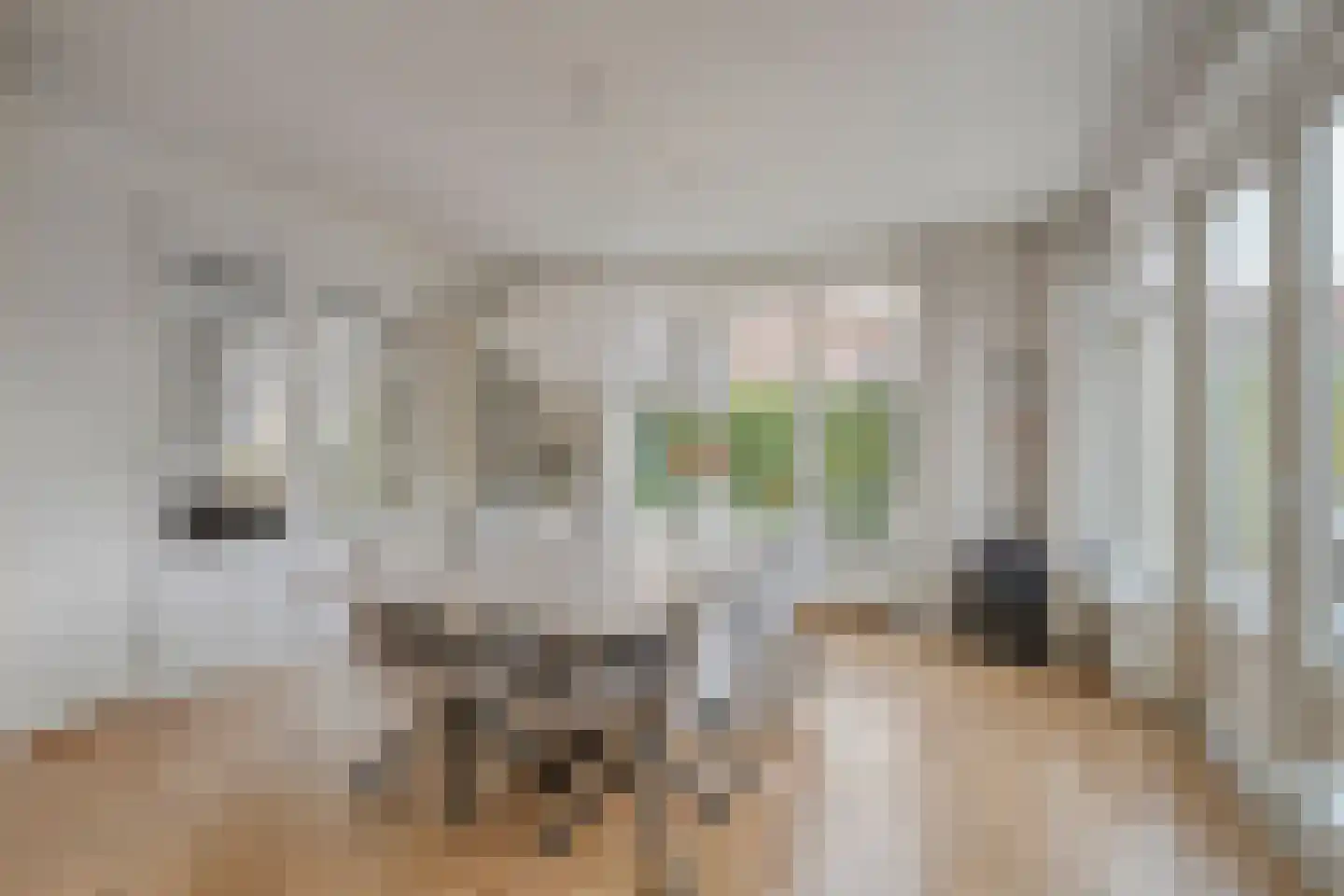 Ahnemstraat 15 Zwolle thumbnail 18