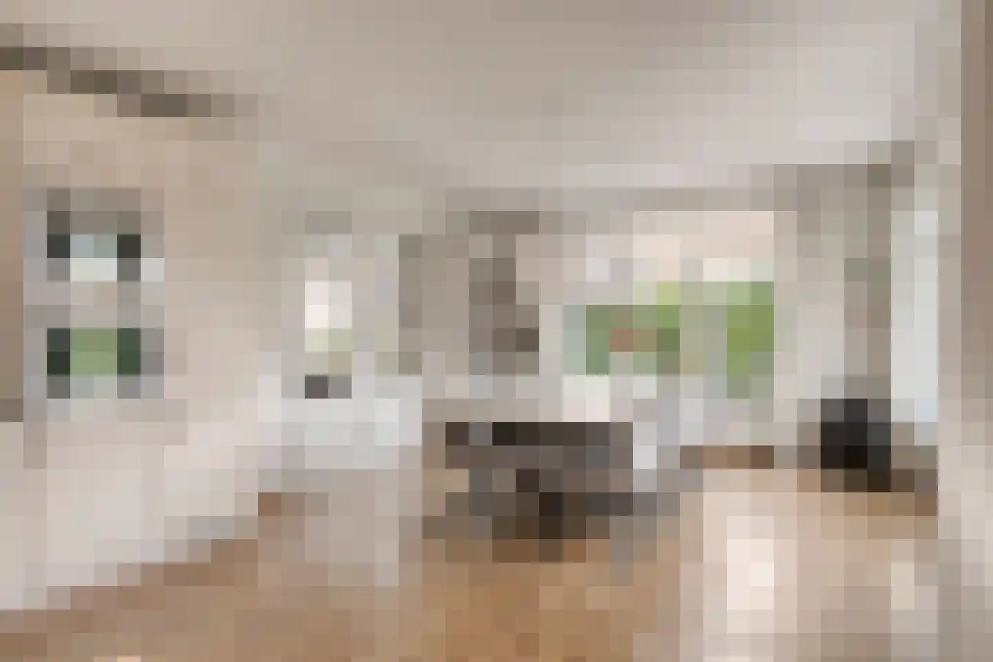 Ahnemstraat 15 Zwolle thumbnail 19