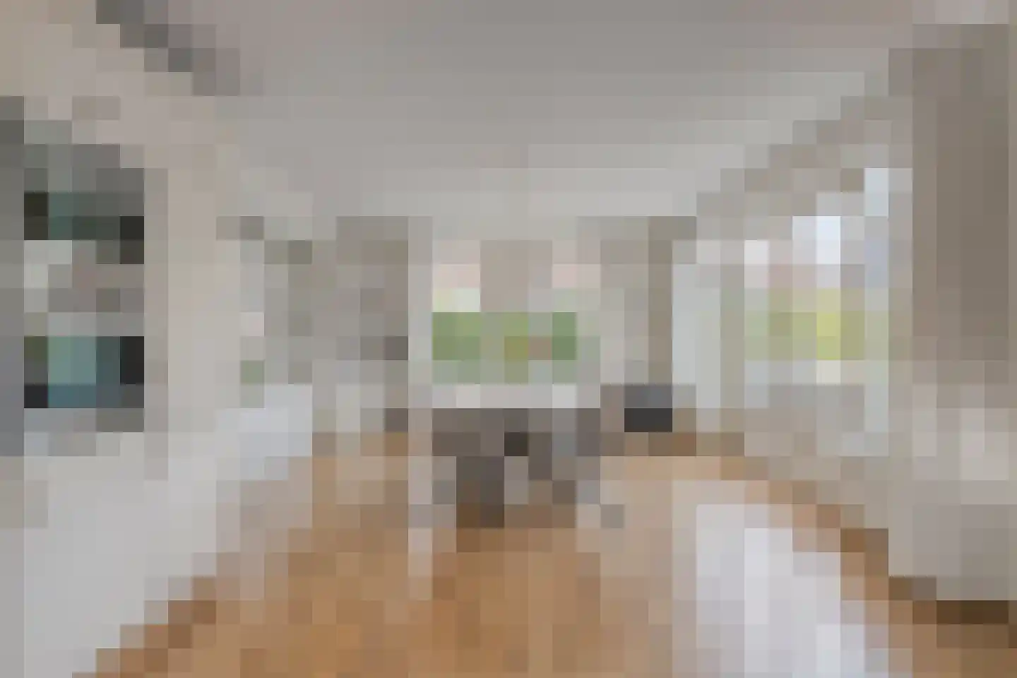 Ahnemstraat 15 Zwolle thumbnail 20