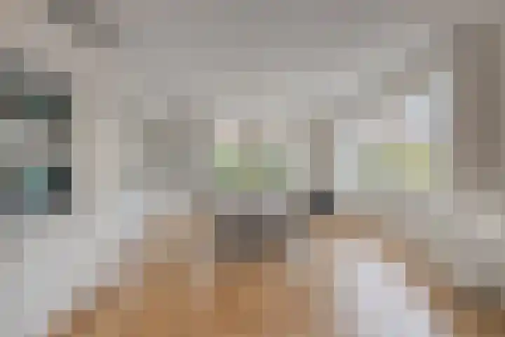 Ahnemstraat 15 Zwolle thumbnail 20