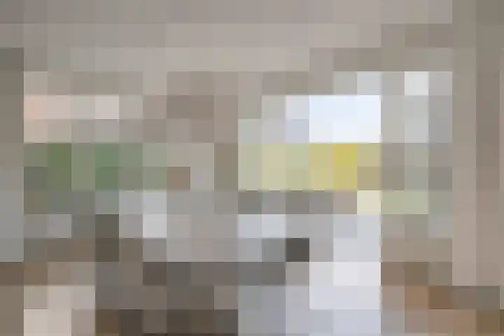 Ahnemstraat 15 Zwolle thumbnail 21