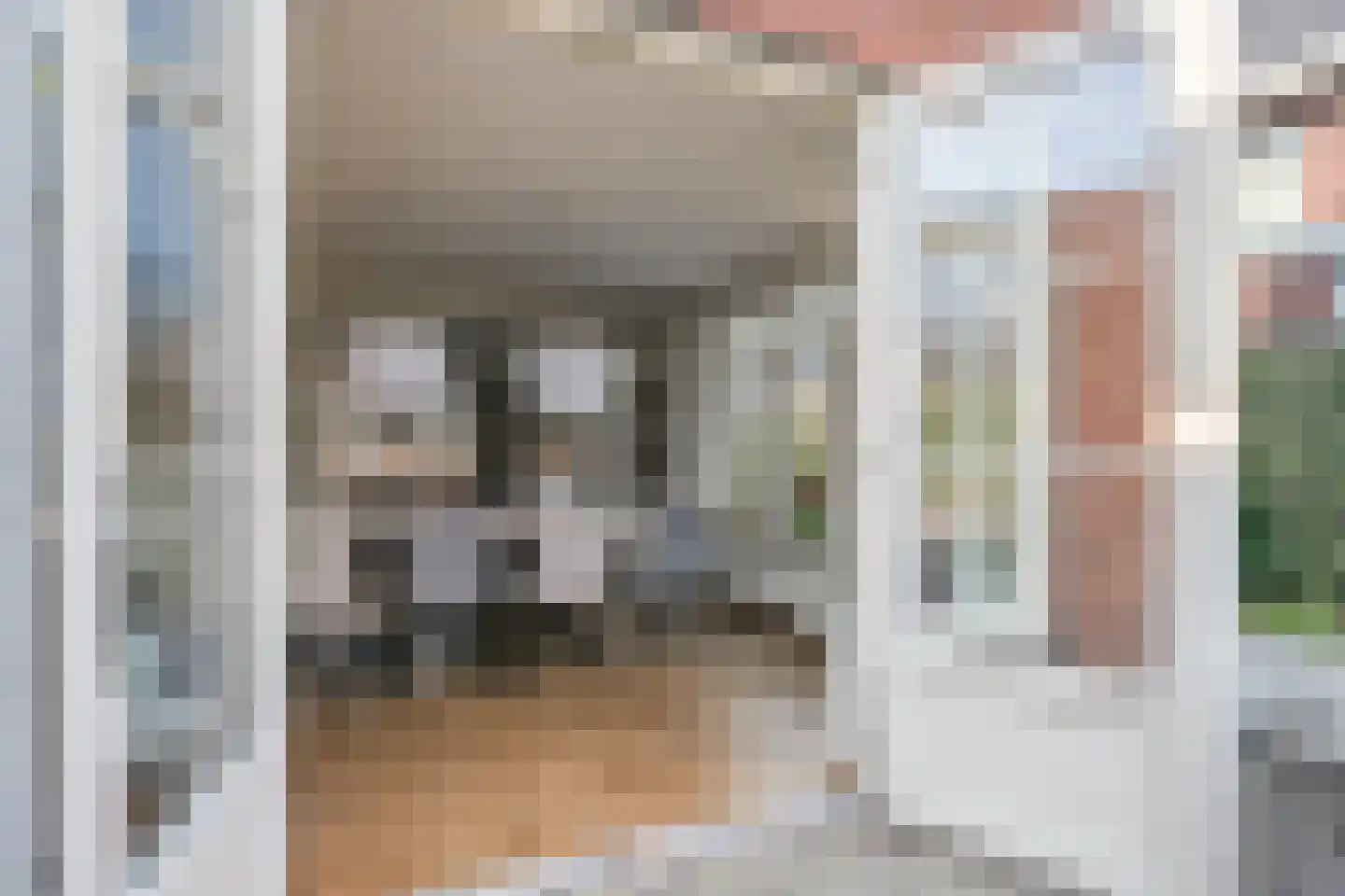 Ahnemstraat 15 Zwolle thumbnail 22