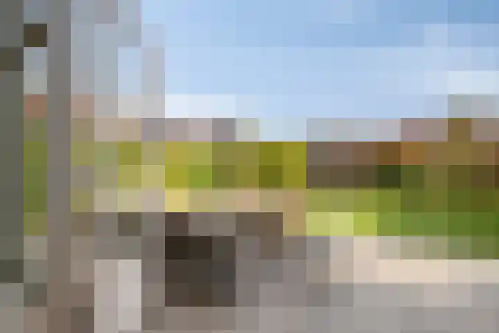 Ahnemstraat 15 Zwolle thumbnail 23