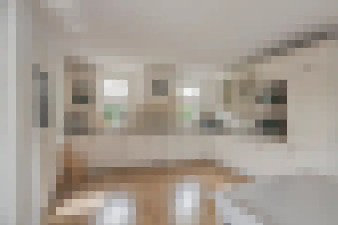 Ahnemstraat 15 Zwolle thumbnail 25