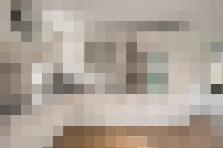 Ahnemstraat 15 Zwolle thumbnail 27