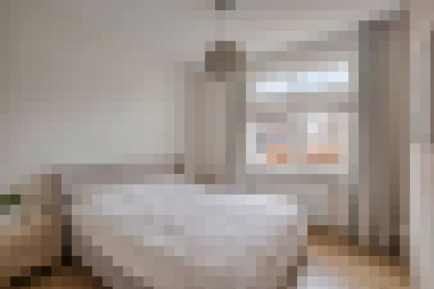 Ahnemstraat 15 Zwolle thumbnail 28