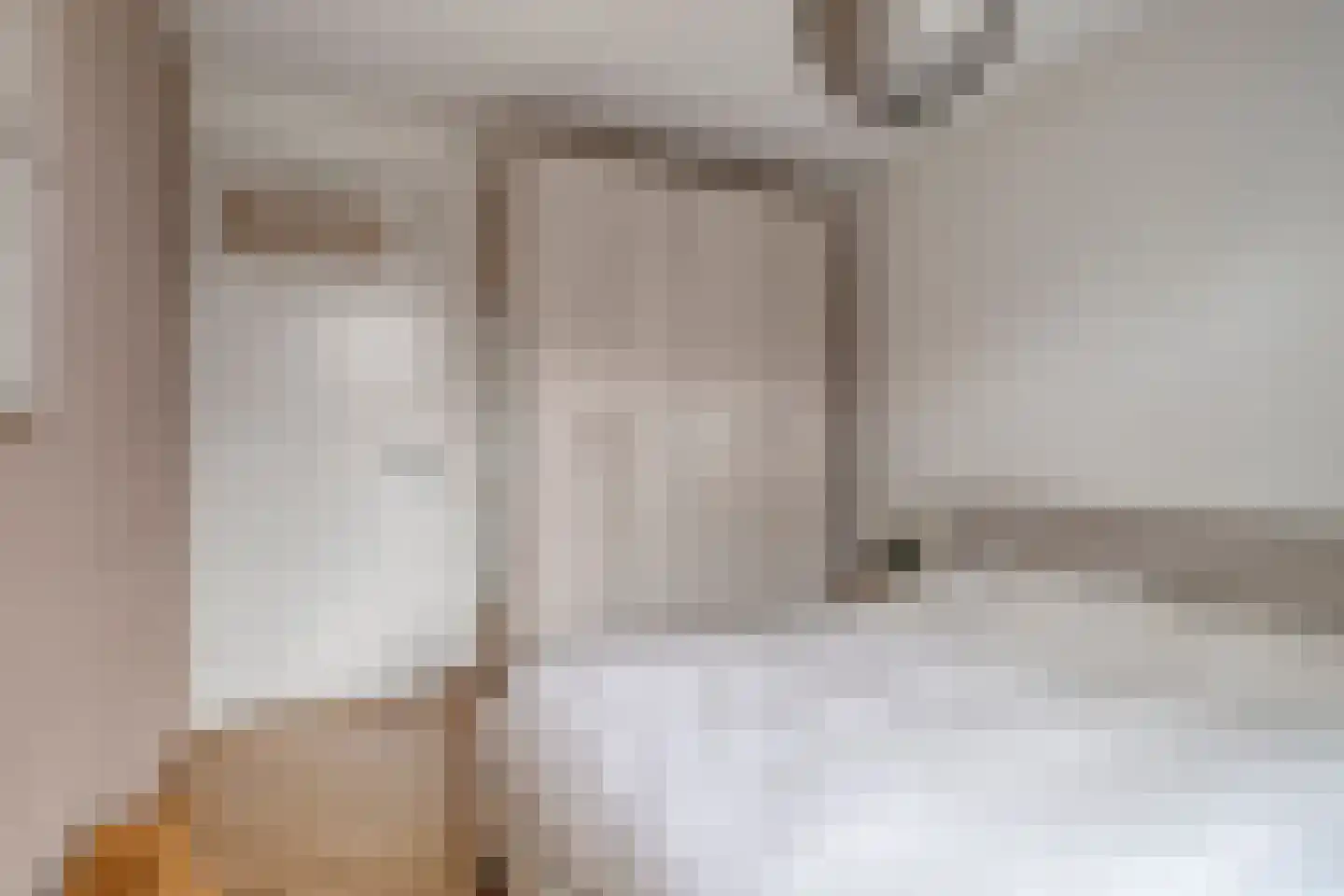 Ahnemstraat 15 Zwolle thumbnail 29