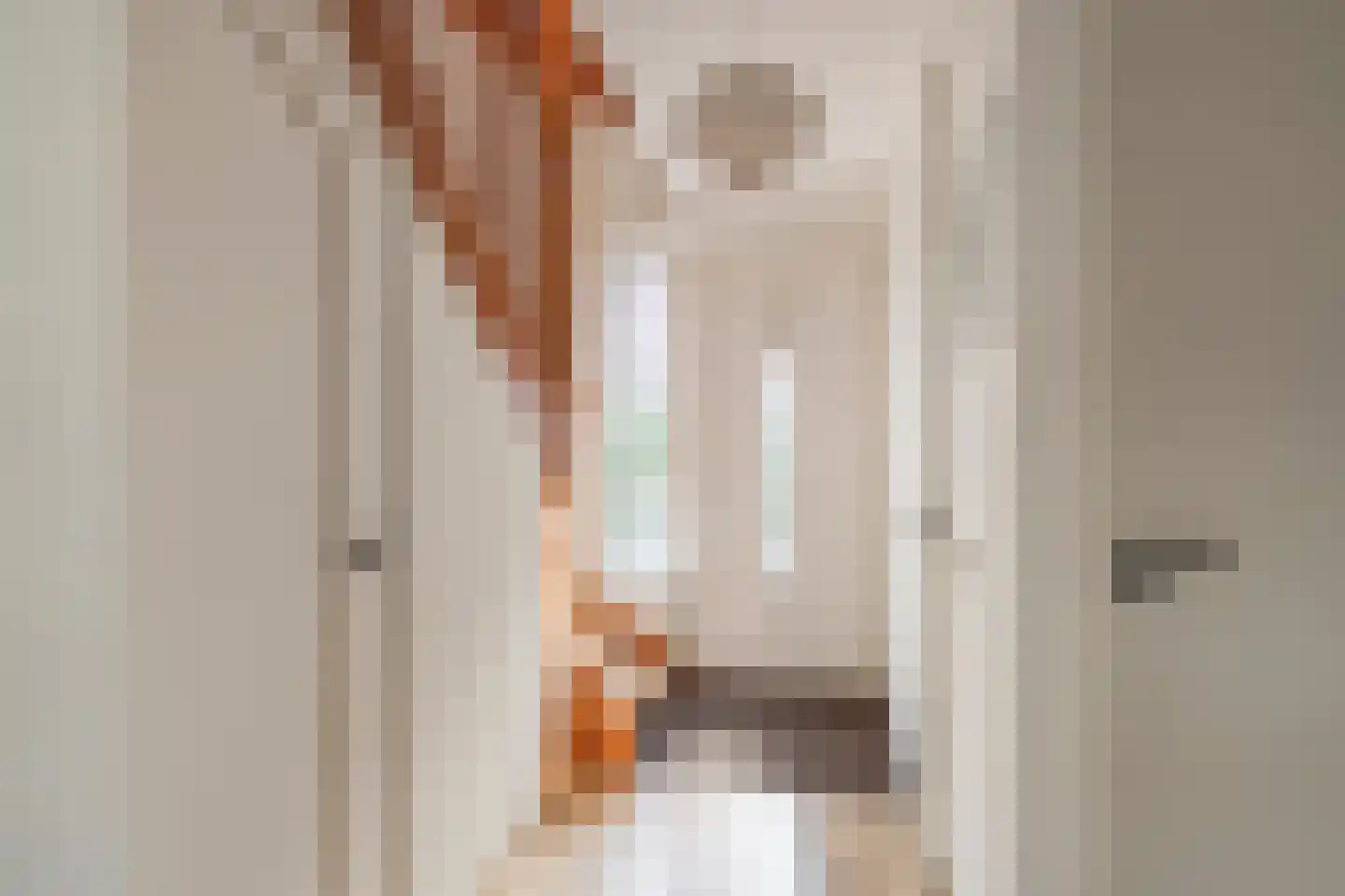 Ahnemstraat 15 Zwolle thumbnail 32