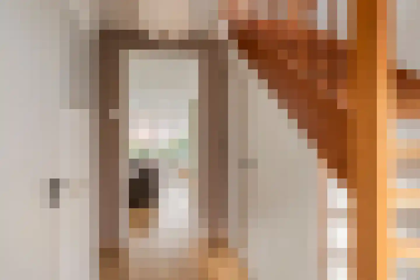 Ahnemstraat 15 Zwolle thumbnail 33