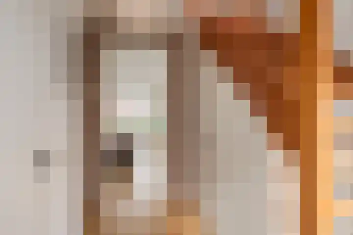 Ahnemstraat 15 Zwolle thumbnail 33