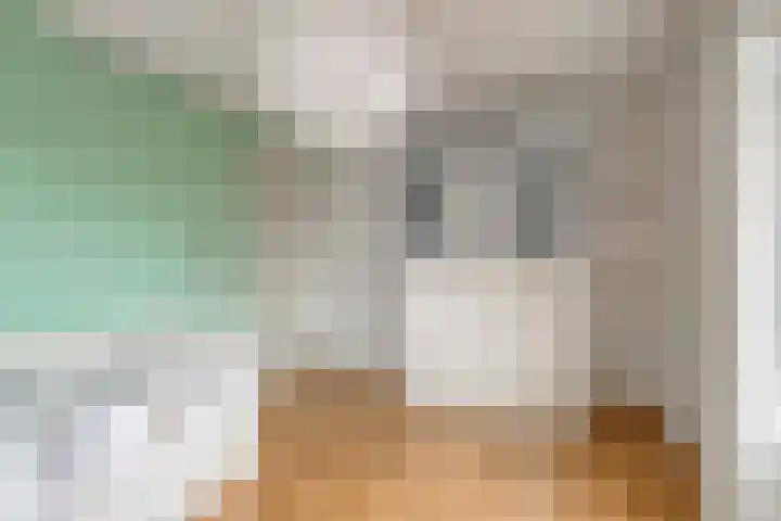 Ahnemstraat 15 Zwolle thumbnail 35